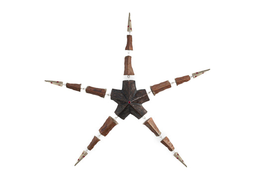 The Morphing Starfish