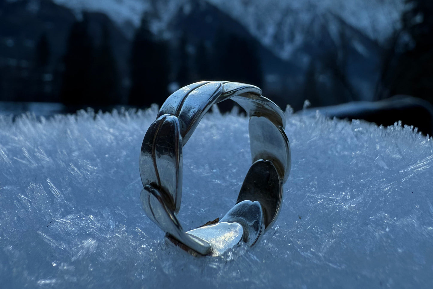 Polished Bean Ring