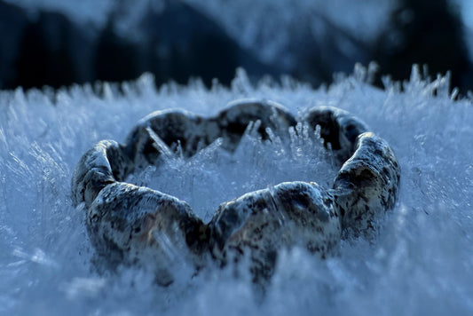Inward Bean Ring