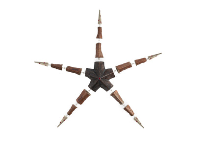 The Morphing Starfish